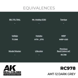 Real Colors: AMT-12 Dark Grey 17 ml. - AK Interactive RC978 2