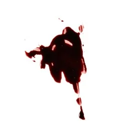 Blood effect 17 ml - EFFECTS - AK Interactive AK11260 2