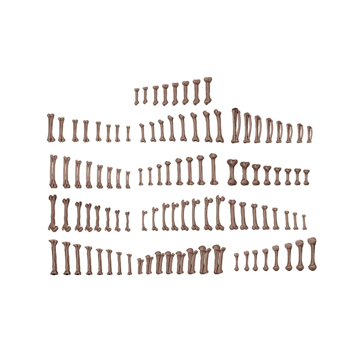 HUMAN BONES - BASING BITS 120 pieces - AK Interactive AKBIT0013