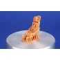 F-84F Thunderstreak Seat for Special Hobby, 1/72 - Special Hobby 12...