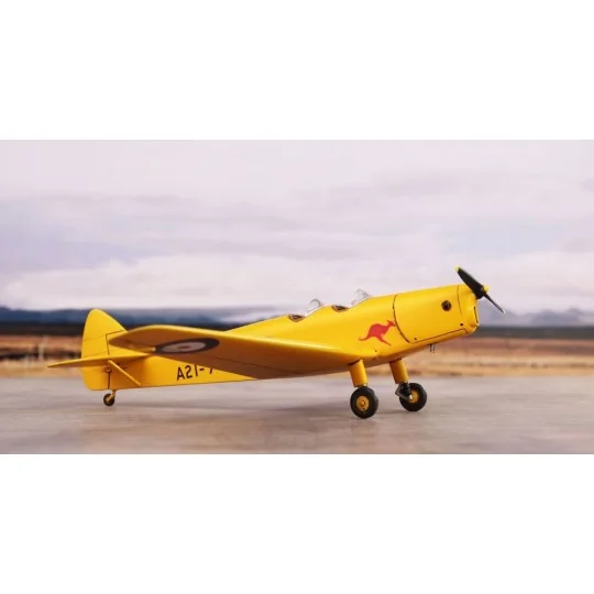 DH.94 Moth Minor 'Under the Southern Cross', 1/72 - Special Hobby 1...