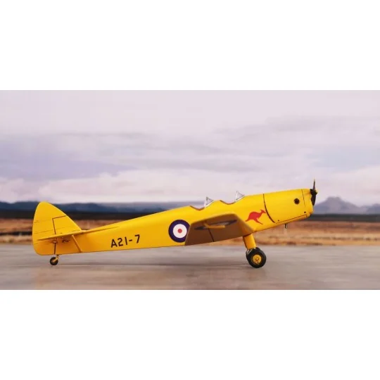 DH.94 Moth Minor 'Under the Southern Cross', 1/72 - Special Hobby 1...