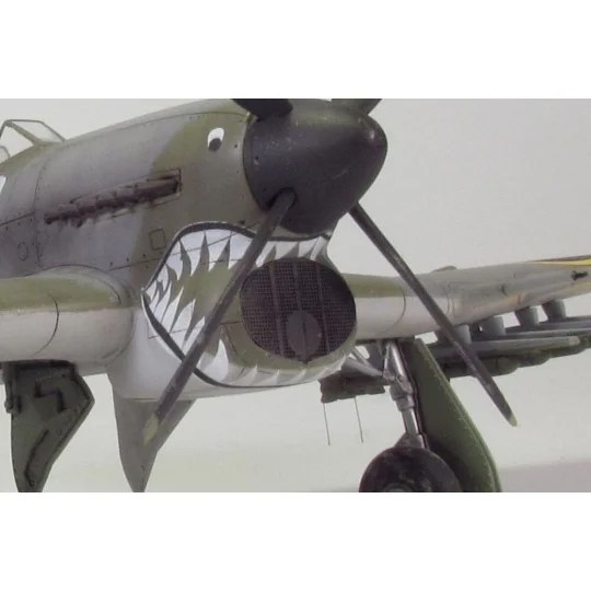 Air intake mesh for Typhoon, 1/48 - Brengun BRL48049