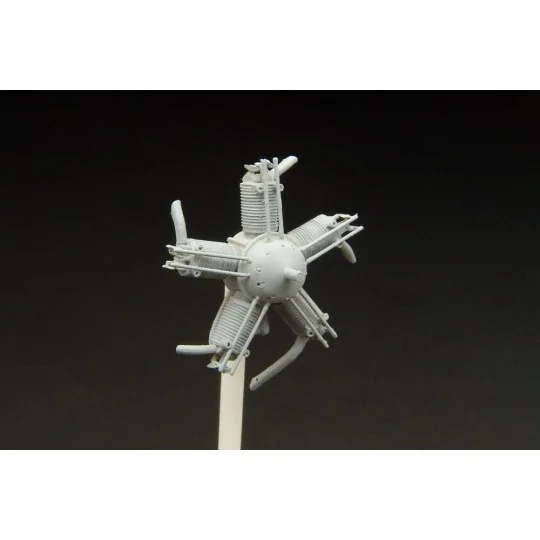 Walter NZ-60 engine (for Avia BH 11 - SM?R kit), 1/48 - Brengun BRL...