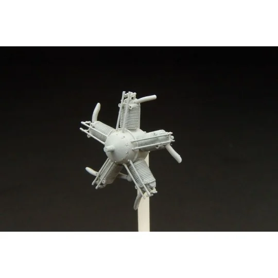 Walter NZ-60 engine (for Avia BH 11 - SM?R kit), 1/48 - Brengun BRL...