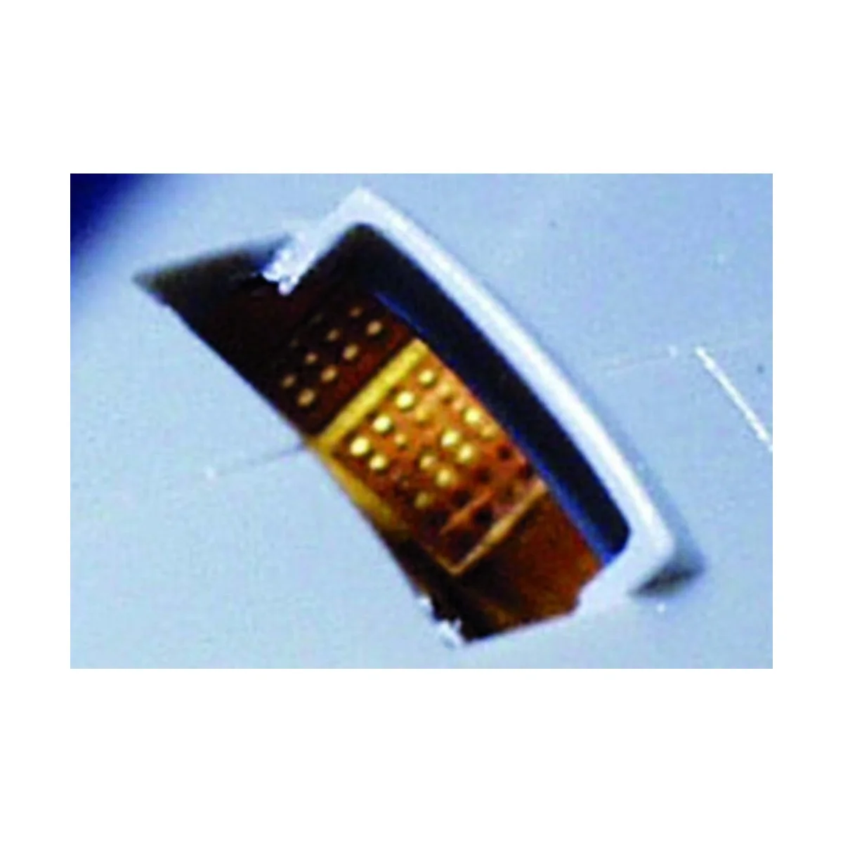 P-47D Razorback - Eduard Accessories 73222