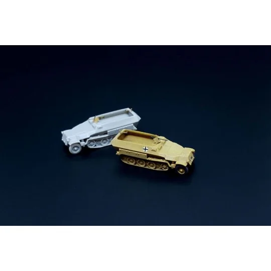 Sd.Kfz. 251D 2pcs, 1/160 - Hauler HNN16008