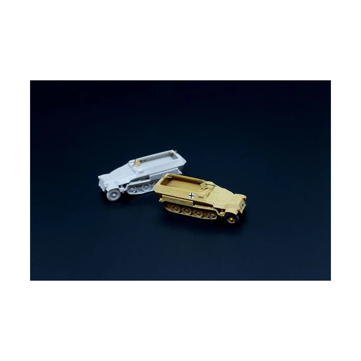 Sd.Kfz. 251D 2pcs, 1/160 - Hauler HNN16008