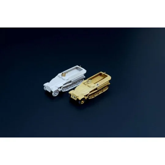 Sd.Kfz. 251D 2pcs, 1/160 - Hauler HNN16008