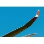 DG-1000 glider- 20m Winglets (Brengun kit), 1/48 - Brengun BRL48174