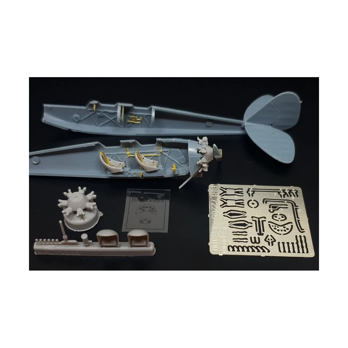 Caproni Ca.100, 1/72 - Brengun BRL72289