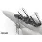 McDonnell Douglas F-4E/2020 Terminator (Turkish Air Force), 1/48 - ...