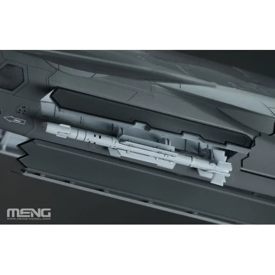 Chinese J-20 Stealth Fighter Beast Mode, 1/48 - MENG-Model LS-002s