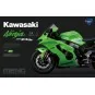 Kawasaki ZX-10RR (Pre-colored Edition), 1/9 - MENG-Model MT-008s