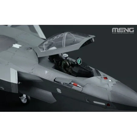 Chinese J-20 Stealth Fighter Beast Mode, 1/48 - MENG-Model LS-002s