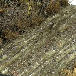 TERRAINS WET GROUND - 250ml (Acrylic) - AK Interactive AK8016 2