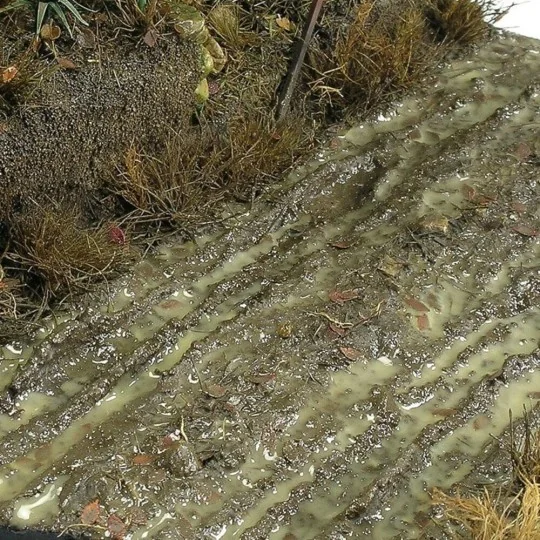 TERRAINS WET GROUND - 250ml (Acrylic) - AK Interactive AK8016