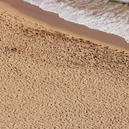 TERRAINS BEACH SAND - 250ml (Acrylic) - AK Interactive AK8019 2