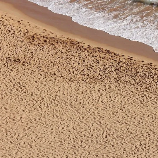 TERRAINS BEACH SAND - 250ml (Acrylic) - AK Interactive AK8019