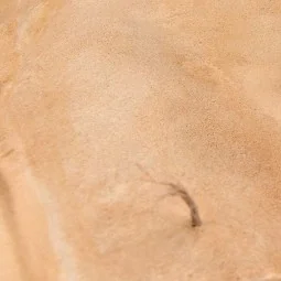 TERRAINS SANDY DESERT - 250ml (Acrylic) - AK Interactive AK8022 2