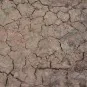 WET CRACKLE EFFECTS - 100ml (Acrylic) - AK Interactive AK8034