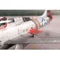 F-84F Thunderstreak ‘US Swept-wing Thunder’, 1/72 - Special Hobby 1...