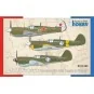 P-40M Warhawk ‘Involuntarily from Russia to Finland’, 1/72 - Specia...