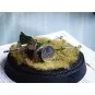 Kanon 3, 7cm KPUV vz.37 (3, 7cm PAK 37(t), 1/35 - Special Hobby 100...