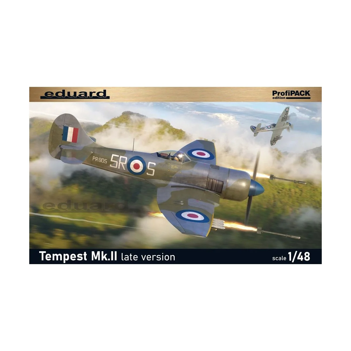 Tempest Mk.II late version, Profipack - Eduard Plastic Kits 82125