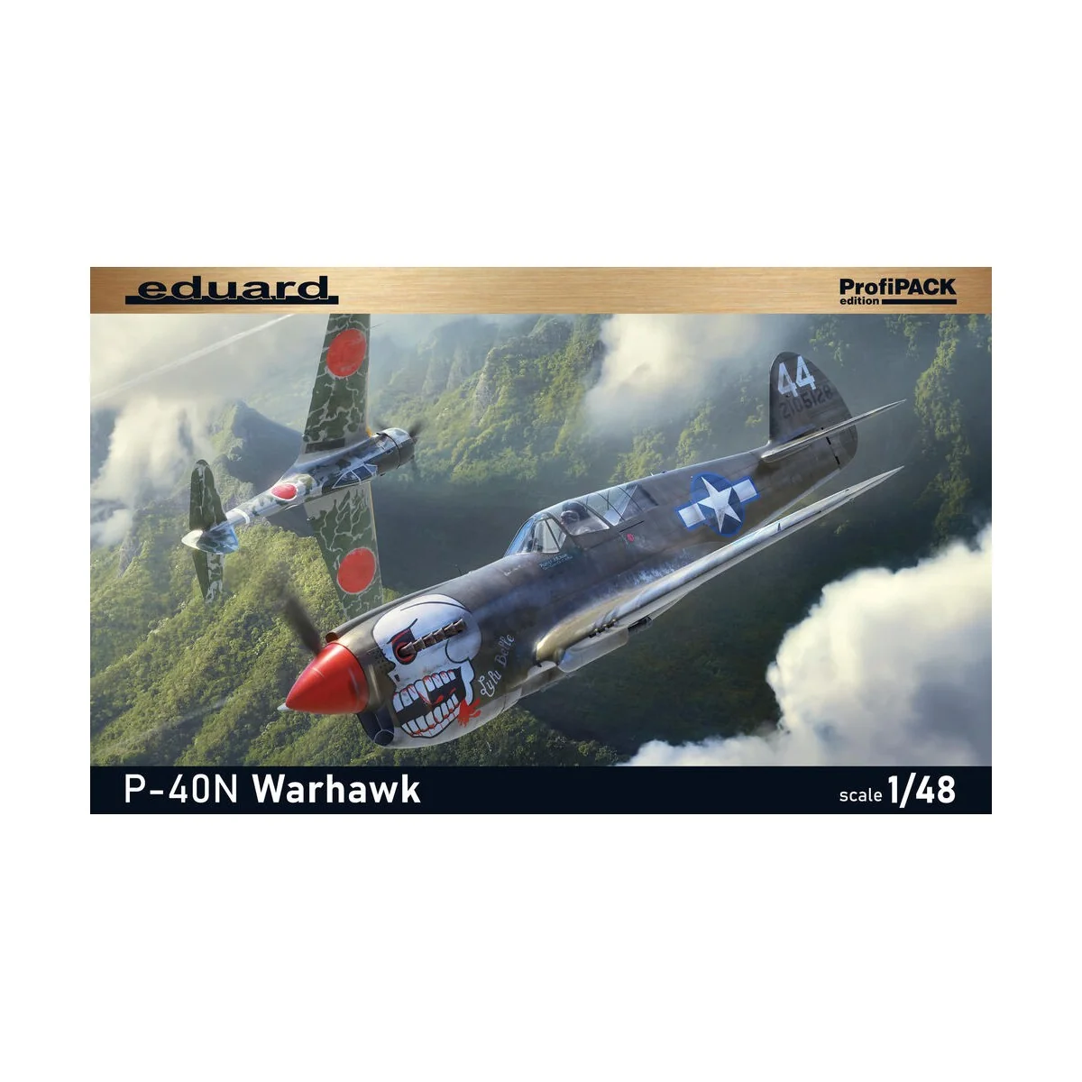 P-40N Warhawk - Eduard Plastic Kits 82242