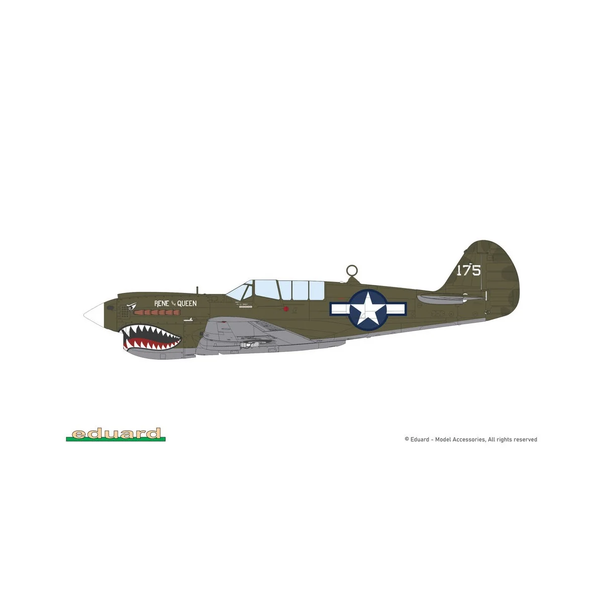 P-40N Warhawk - Eduard Plastic Kits 82242