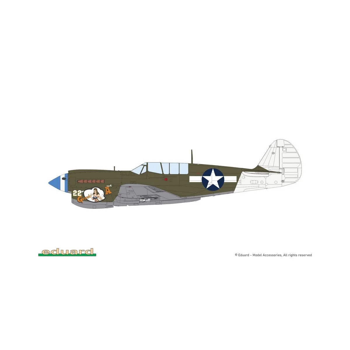 P-40N Warhawk, 1/48 - Eduard Plastic Kits 82242 P-40N Warhawk, 1/48 - Eduard Plastic Kits 82242