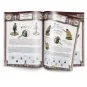 Painting War Wild West English - Vallejo PAWA-010EN