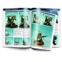 Painting Miniatures A.Giraldez Vol.I English - Vallejo 75003