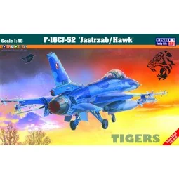 F-16C BLOCK 52 + JASTRZAB HAWK, 1/48 - Mistercraft G-116 2