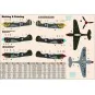 P-40E Aleutian Tiger START SET, 1/72 - Mistercraft SD-202