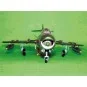 MiG-17 PF Fresco, 1/32 - Trumpeter 02206