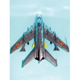 MiG-19 PM Farmer E/Shenyang F-6B, 1/32 - Trumpeter 02209 2