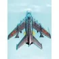 MiG-19 PM Farmer E/Shenyang F-6B, 1/32 - Trumpeter 02209