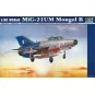 MiG-21 UM Test, 1/32 - Trumpeter 02219