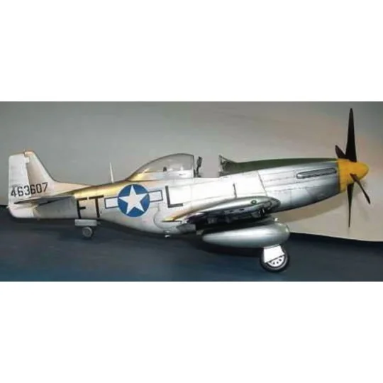 North American P-51 D Mustang IV, 1/24 - Trumpeter 02401