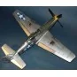 North American P-51 D Mustang IV, 1/24 - Trumpeter 02401