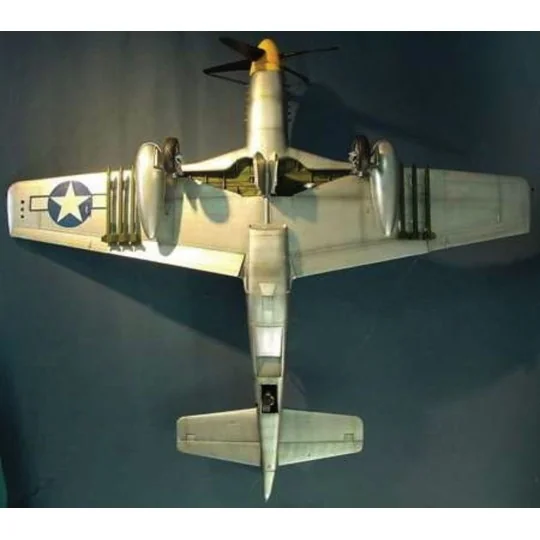 North American P-51 D Mustang IV, 1/24 - Trumpeter 02401