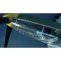 North American P-51 D Mustang IV, 1/24 - Trumpeter 02401