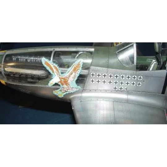 North American P-51 D Mustang IV, 1/24 - Trumpeter 02401