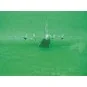Antonov An-12 BK Cub, 1/100 - Trumpeter 04001