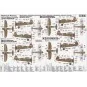 P-11C September'39, 1/72 - Mistercraft B-07