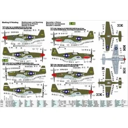 P-51 B-1 BullFrog I, 1/72 - Mistercraft C-46 2