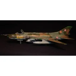 SU-20R Last Flight, 1/72 - Mistercraft D-13