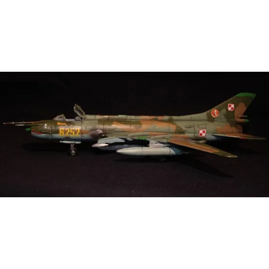 SU-20R Last Flight, 1/72 - Mistercraft D-13